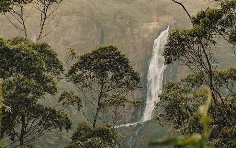 Nuwara Eliya . Nuwara Eliya .