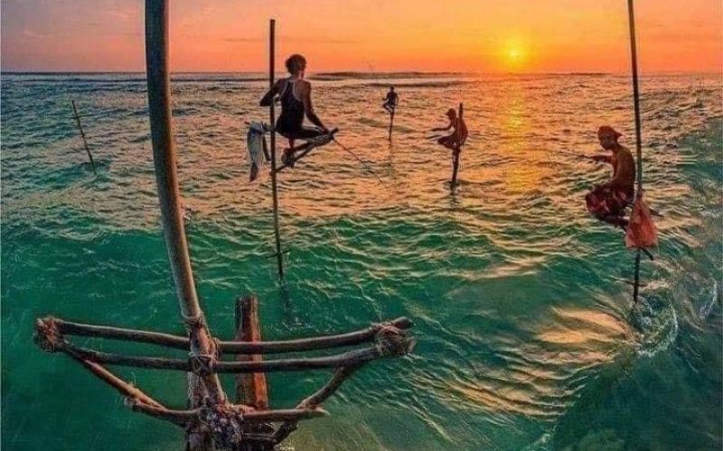 Stilt fishing (Discover day 2 ) Stilt fishing (Discover day 2 )