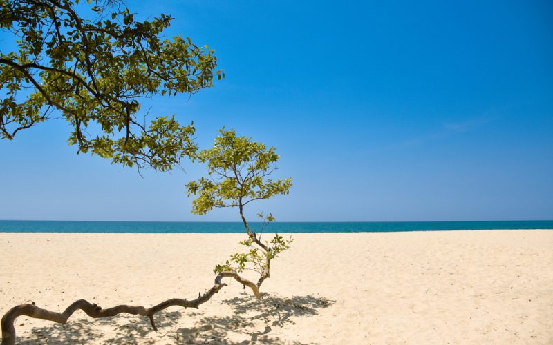 Visit-the-Island-Of-Battalagunduwa Visit-the-Island-Of-Battalagunduwa